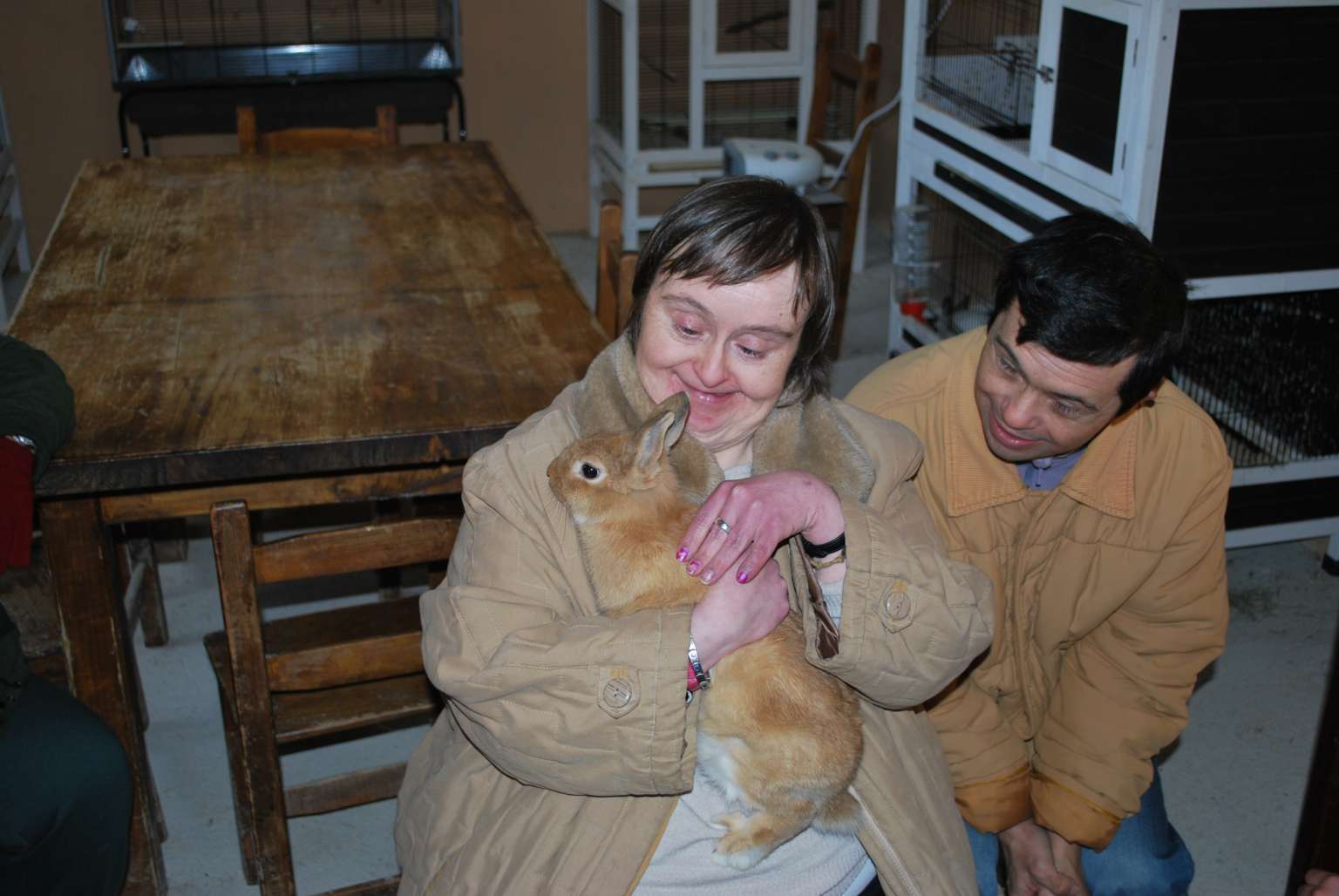 Diversidad CONEJO