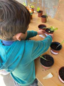 actividades con niños en valladolid