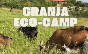 granja escuela en madrid